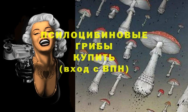 молекула духа Балахна
